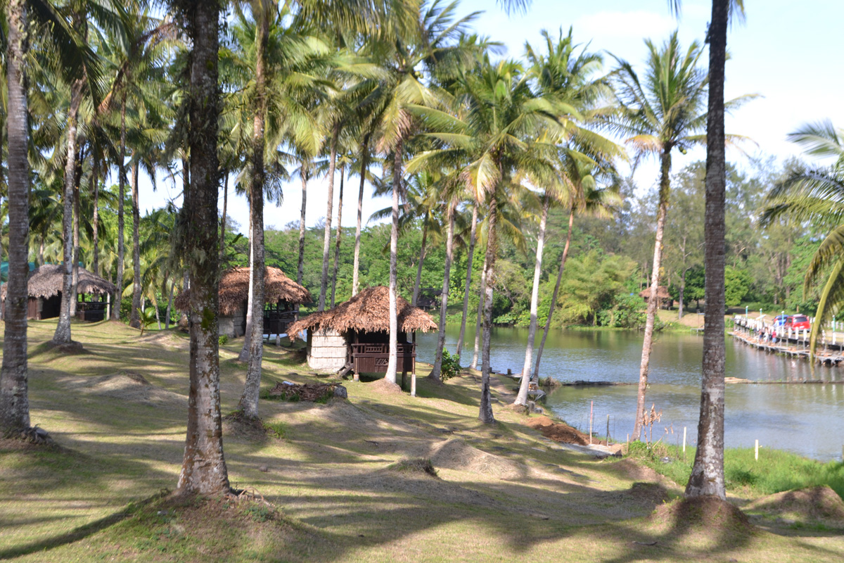 Fishpond