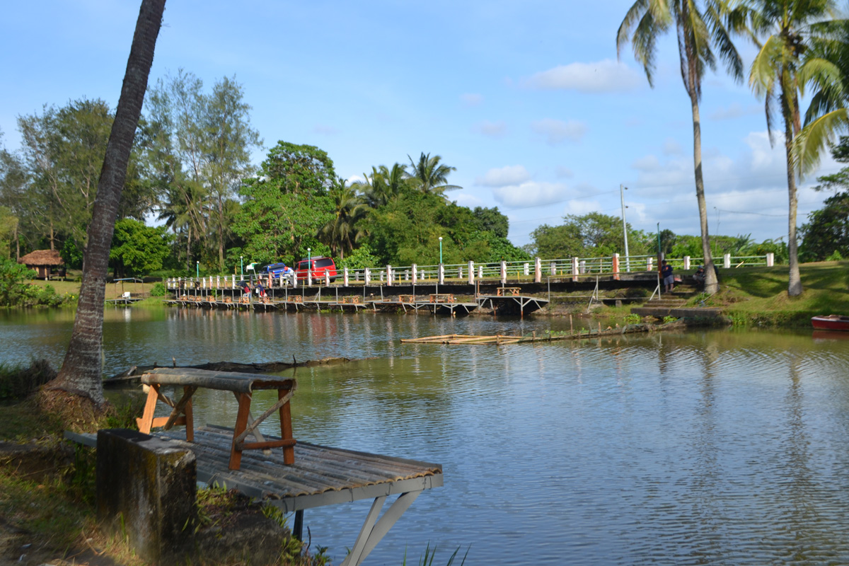 Fishpond