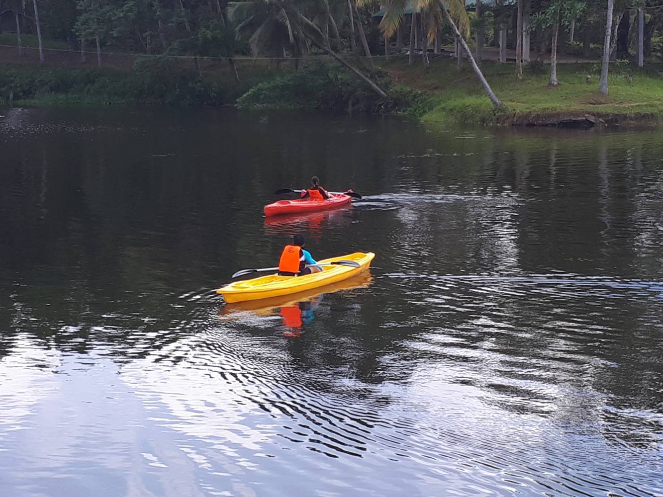 Kayak